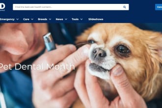 design pet website, pet care website, veterinary website