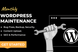 provide monthly wordpress maintenance,website audit, support