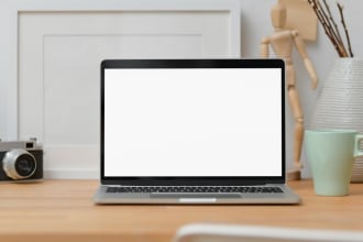 write dogs, cats, and general pet articles for you