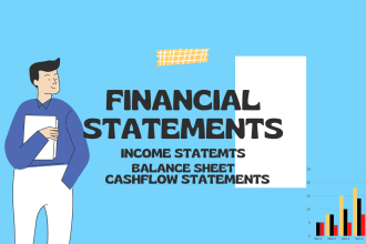 provide financial statements, ratio analysis, and accounting