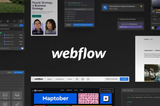develop, update or fix webflow website design