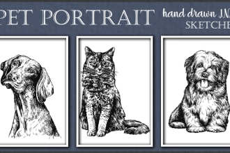 draw a custom vintage realistic pet portrait in ink