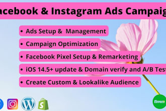 setup and manage your facebook ads, instagram ads and shopify ads campaign