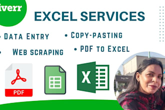 excel data entry, data cleaning, data formatting in one hour