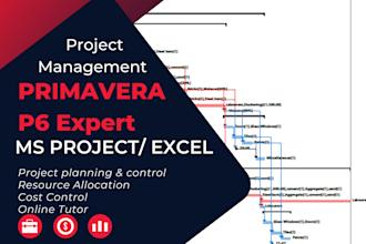 do planning, scheduling and cost control using primavera p6
