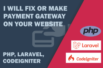 fix or create a payment gateway or crypto on your website