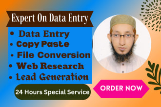 do data entry copy paste web research file conversion