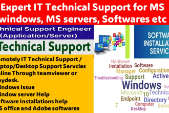 provide 8 hour expert IT technical support remotely