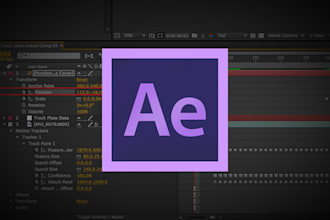 customize your after effects template
