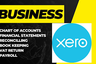 setup and do bookkeeping in xero