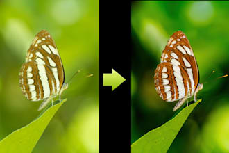 do professional basic edits for your photos