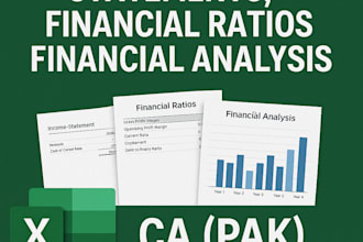 prepare financial statements, ratio and their analysis