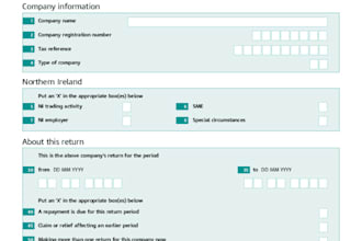 help prepare and file your annual accounts and corp tax return