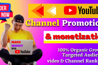 do organic youtube channel promotion to target audience and monetization