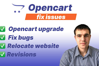 fix bugs on your opencart website