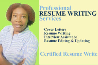 write you a professional attention grabbing resume