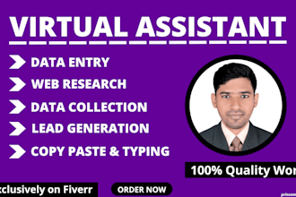 do data entry, web research, lead generation, and virtual assistant work