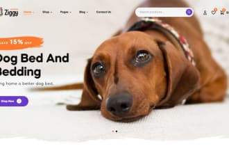 create pet store, pet grooming, grooming website, and pet care website