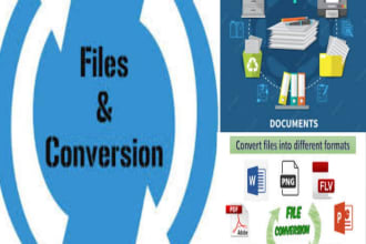 do data entry file convert, document formatting ,retype data and word processing