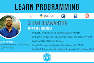 teach java, python, and other programming languages