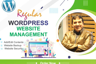 manage your wordpress website on monthly basis