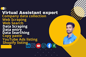 strict and fast data collection, web search, web scraping, copy paste