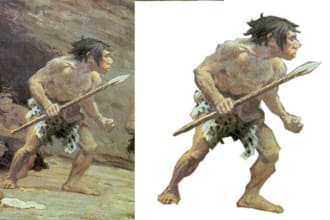 cut out, remove background and crop images