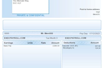 provide a comprehensive payroll service