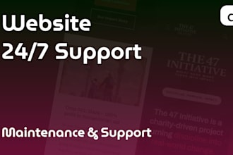 provide wordpress, and shopify maintenance and support 24,7