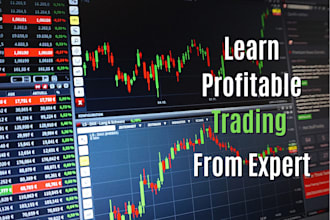 teach you to learn profitable trading