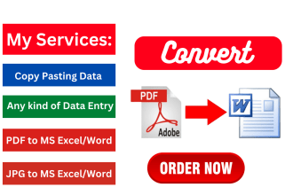 convert PDF to word, pdf to excel, copy paste, data entry