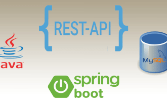 develop java applications and rest apis using spring boot