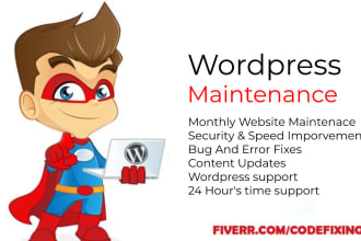 provide wordpress website maintenance and support or help