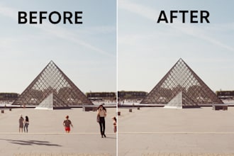 do any kind of object removal, person, spots, and unwanted things