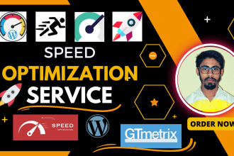 do fast wordpress website speed optimization  gtmetrix google page speed score