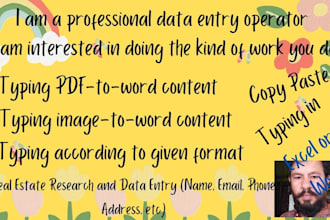 do professional typing, data entry work, PDF to word, image to word etc