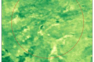 do ndvi analysis to monitor vegetation health