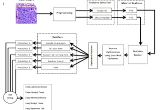 create and train dl model for medical image classification