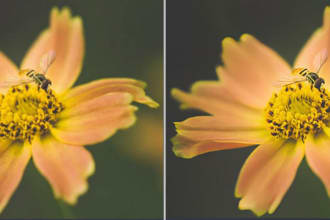 sharpen, upscale, and enhance blurry photos