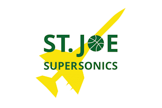 design best quality classy basketball team logo