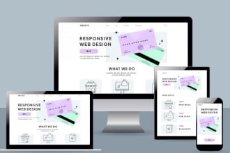 build responsive wordpress website design and ecommerce online store