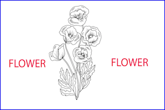 draw botanical line art of flowers, line art