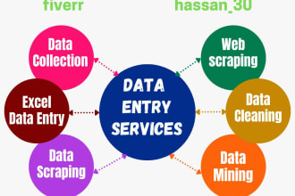 do ms excel data entry, web scraping, data cleaning, data copy