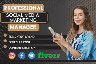 be your social media marketing manager, social media content and post creator