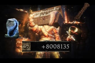 drop you any items you want in or help you in any dark souls game
