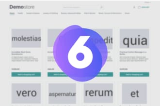develop your professional shopware 6 shop