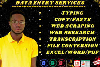 do excel spreadsheets, data entry and web research for you