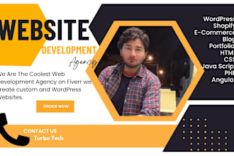 create wordpress responsive and functional website