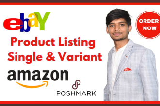 do product listing on amazon, ebay, poshmark, product bulk upload