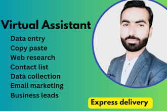 do excel data entry and data collection, admin support, emails